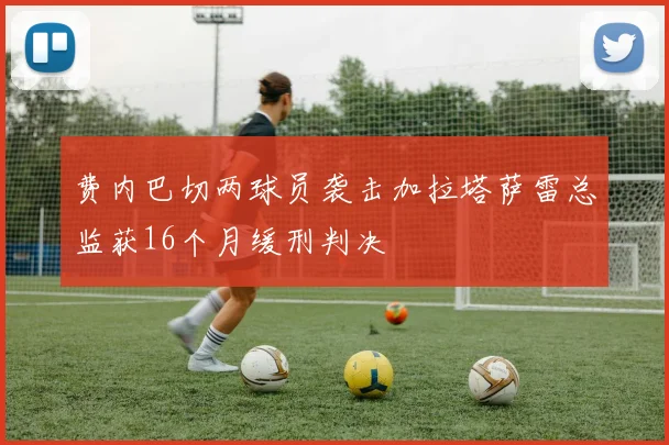 费内巴切两球员袭击加拉塔萨雷总监获16个月缓刑判决
